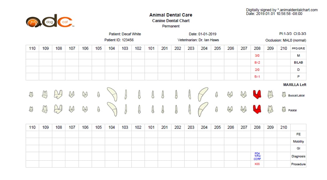 Dental Chart - Overview