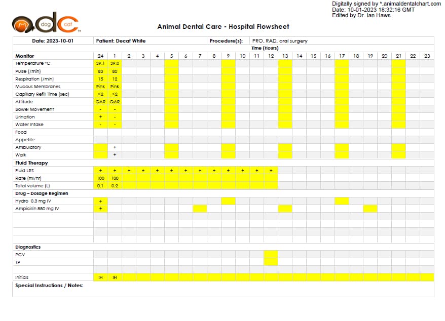 Hospital Flowsheet